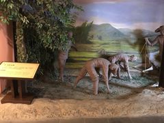 -张家港凤凰山景区河阳山歌馆