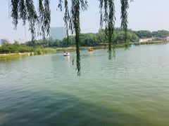 -大兴滨河森林公园