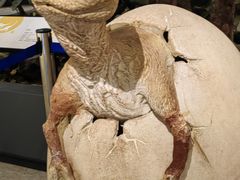 -湖南省地质博物馆