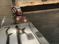 -大连武术文化博物馆