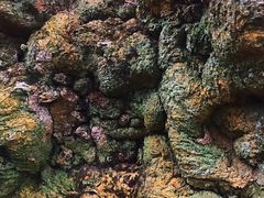 -海口火山口国家地质公园