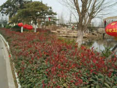 android_upload_pic-临沂动植物园