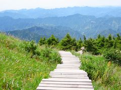 -白草畔自然风景区