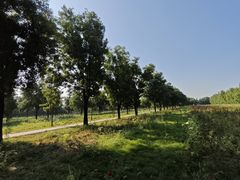 -汉景帝阳陵博物院
