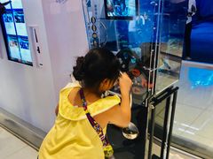 -迪拜水族馆及水下动物园