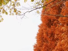 -夏河溪乡野公园