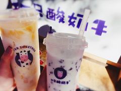 -一只酸奶牛(八一路店)