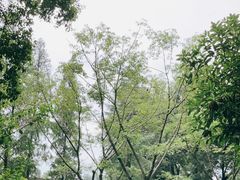 -成都市文殊院