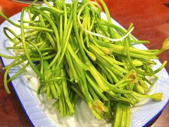 -菌之家·专业纯野生菌火锅·特色炒菌