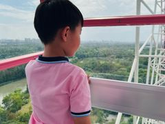 -自然谷恐龙园