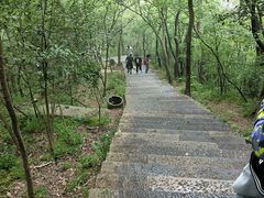-紫金山山顶公园