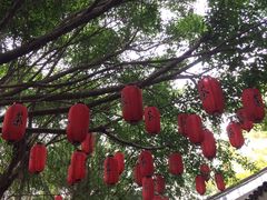 -东部华侨城