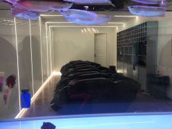 -BULB STUDIO 巴柏明星发型工作室