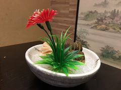 刺身拼盘-桃夭日式料理(国信店)