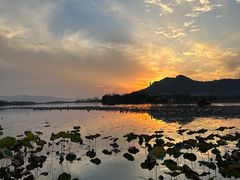 -茗醉园茶楼