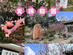 -无锡梅园公园