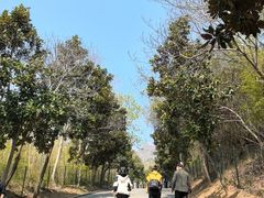-圌山