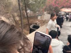-抱犊寨风景区