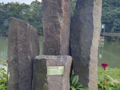 -黄椅山火山森林公园