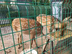 -清风小镇闯关东影视基地