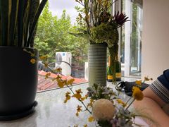 -蝶舍·MAISON PAPILLON