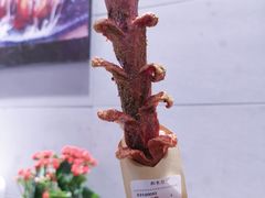 -和米堂(正弘城店)