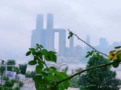 -桃花沅火锅(长嘉汇江景店)