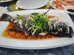 清蒸海鱼-波记美食店·现捞海鲜