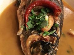 -鸽子窝(青塔店)