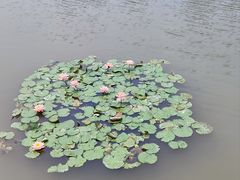 -牛岗山公园