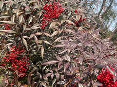 -艾山风景名胜区