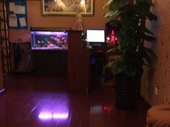 -智慧盲人按摩艾灸-颈肩腰膝疼痛调理(浦东店)