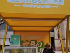 -维尔纳斯·生日蛋糕动物奶油冰淇淋蛋糕(人大店)