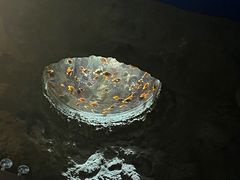 -珠海长隆海洋王国