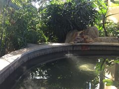 -郑州银基黄帝宫御温泉