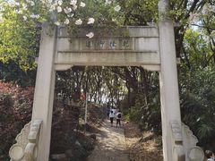 -苏州上方山国家森林公园