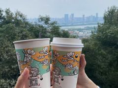 -茶颜悦色(岳麓山顶店)