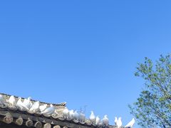 -白鹿原影视城
