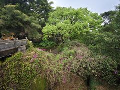 -青芝山风景名胜区