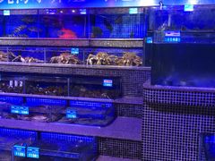 水产区-青蓬蒸汽海鲜·深圳老字号·团建聚会(壹方城店)