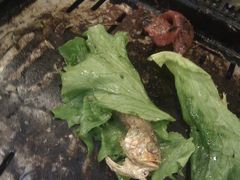 -哆来咪火锅烤肉自助(牌楼店)