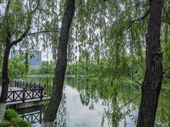 -洋湖国家湿地公园