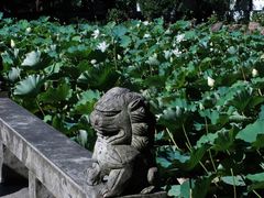 -上海醉白池公园
