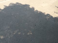 -西塘万安桥农家菜