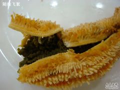 海星肉-海岛渔村大酒店(云霄路店)