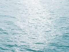 -演武大桥观景平台