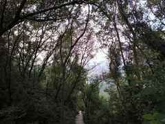 -南京市江宁方山