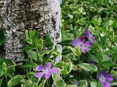 -白塘生态植物园