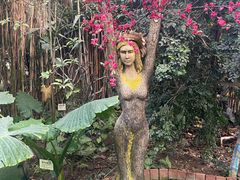 -呀路古热带植物园