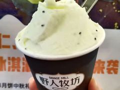 -野人先生现做冰淇淋(北京顺义祥云小镇店)